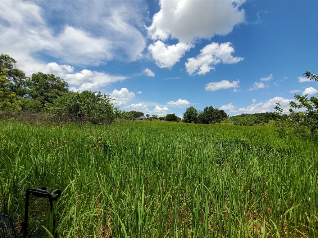 Woodland Avenue Lakeland FL 33801 L4924795 image4