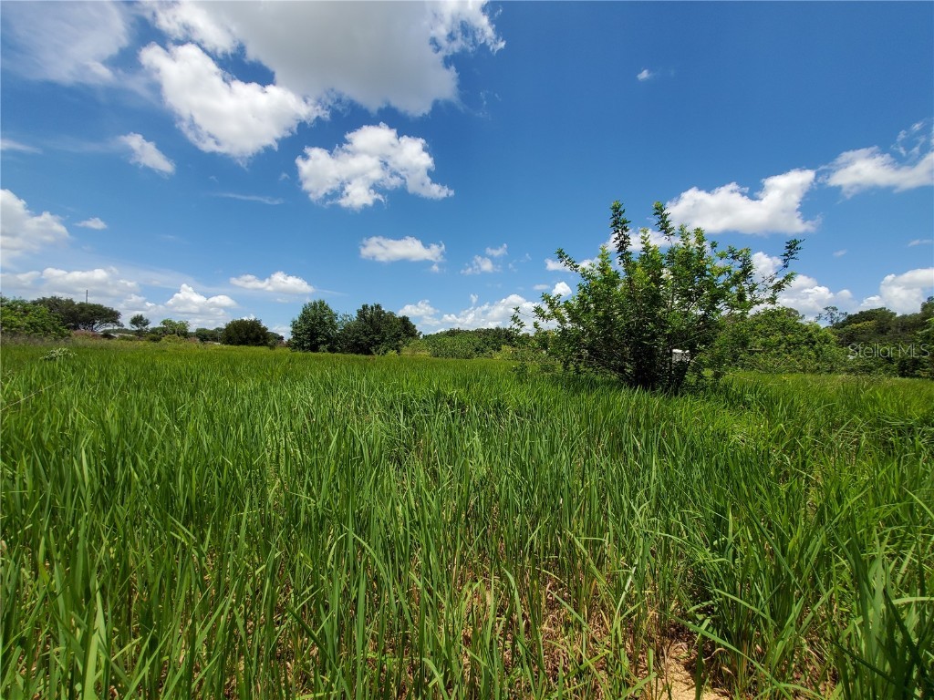 Woodland Avenue Lakeland FL 33801 L4924795 image5