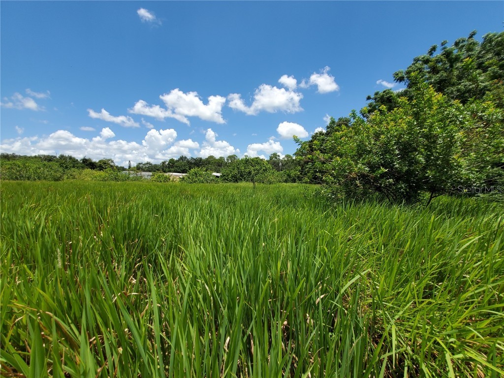 Woodland Avenue Lakeland FL 33801 L4924795 image7