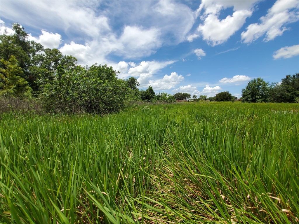 Woodland Avenue Lakeland FL 33801 L4924795 image9