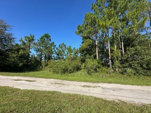 Woodland Avenue Paisley FL 32767 V4944187 image1
