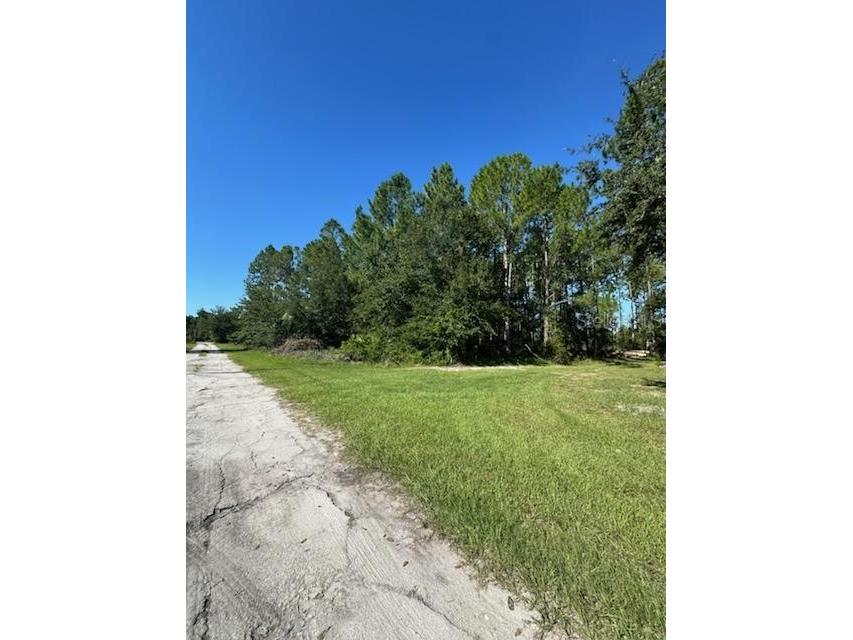 Woodland Avenue Paisley FL 32767 V4944187 image2
