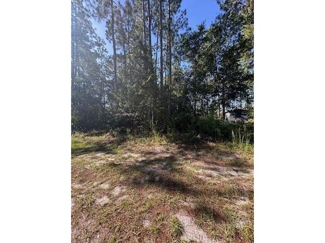 Woodland Avenue Paisley FL 32767 V4944187 image3