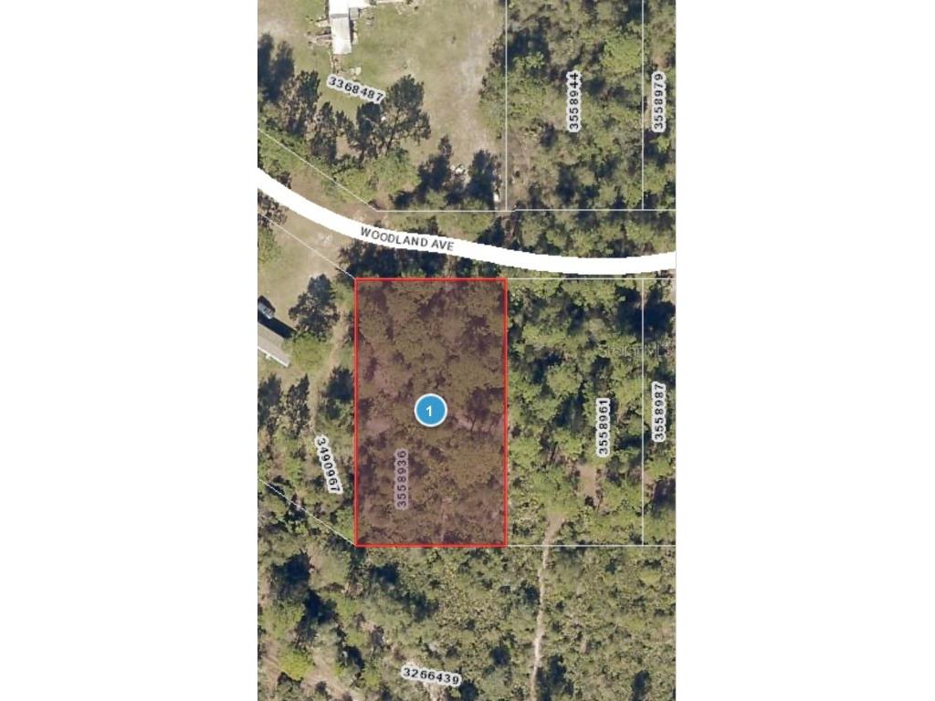 Woodland Avfe Paisley FL 32767 V4928682 image1
