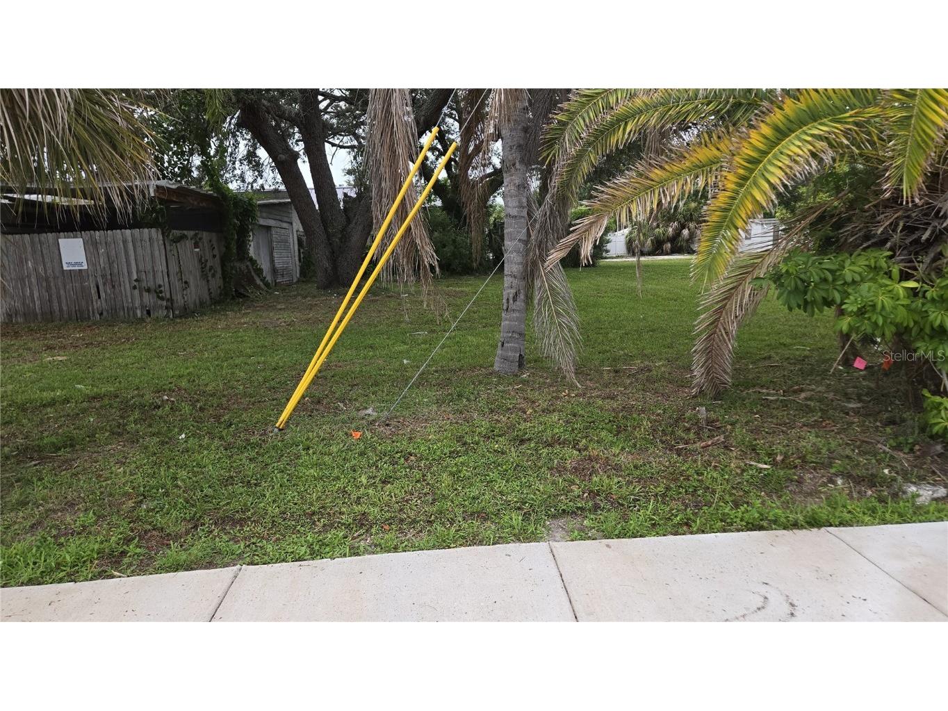 Woodlawn Street Clearwater FL 33756 TB8404175 image2