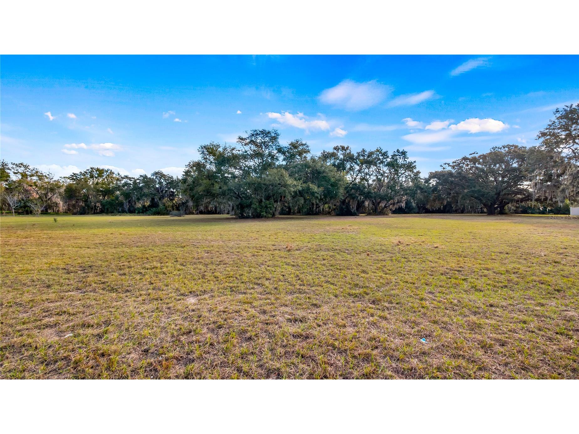 Woodlea Road Tavares FL 32778 O6295703 image2