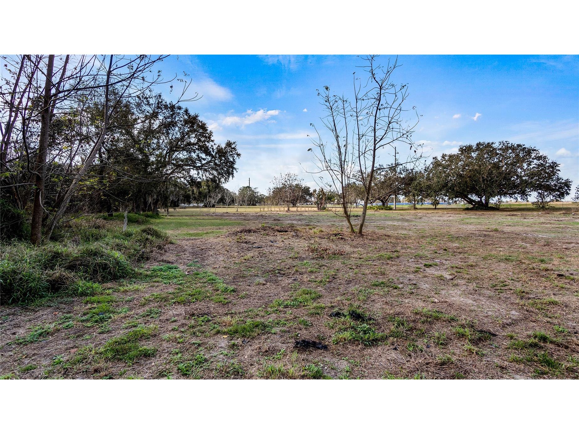 Woodlea Road Tavares FL 32778 O6295703 image44