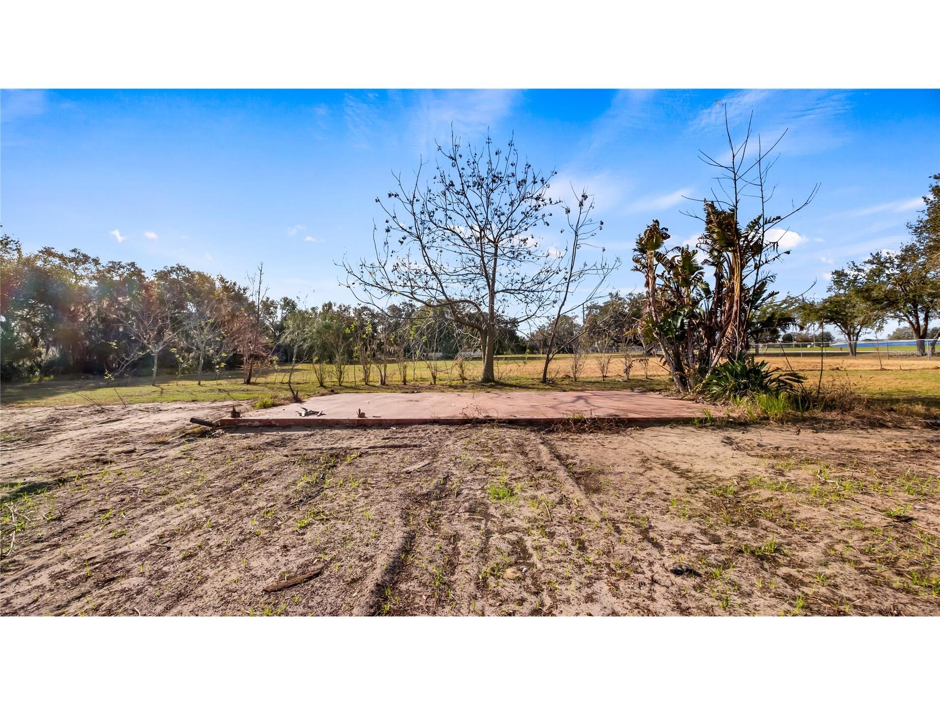 Woodlea Road Tavares FL 32778 O6295703 image48