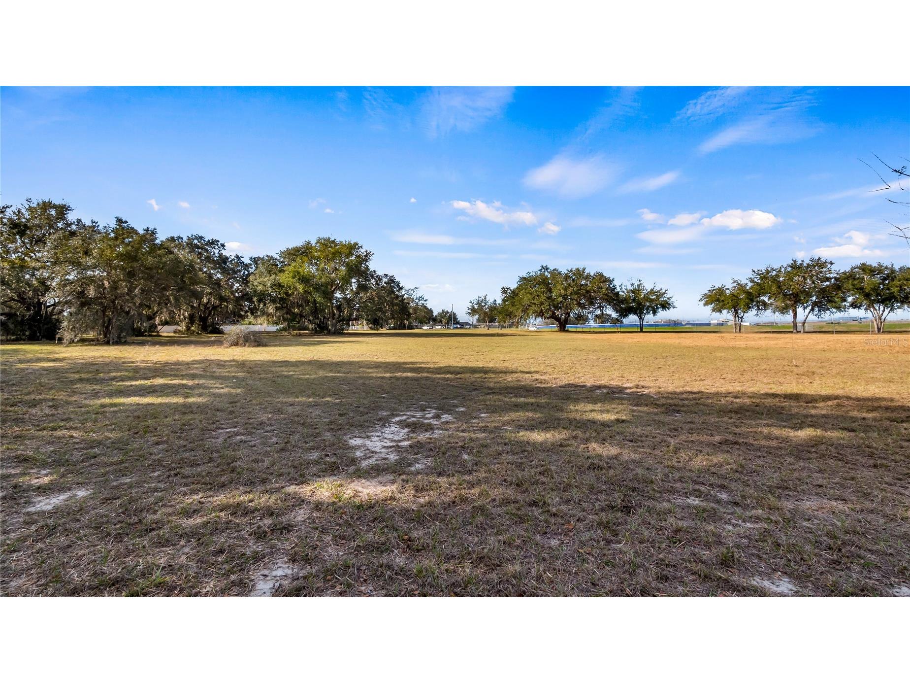 Woodlea Road Tavares FL 32778 O6295703 image5