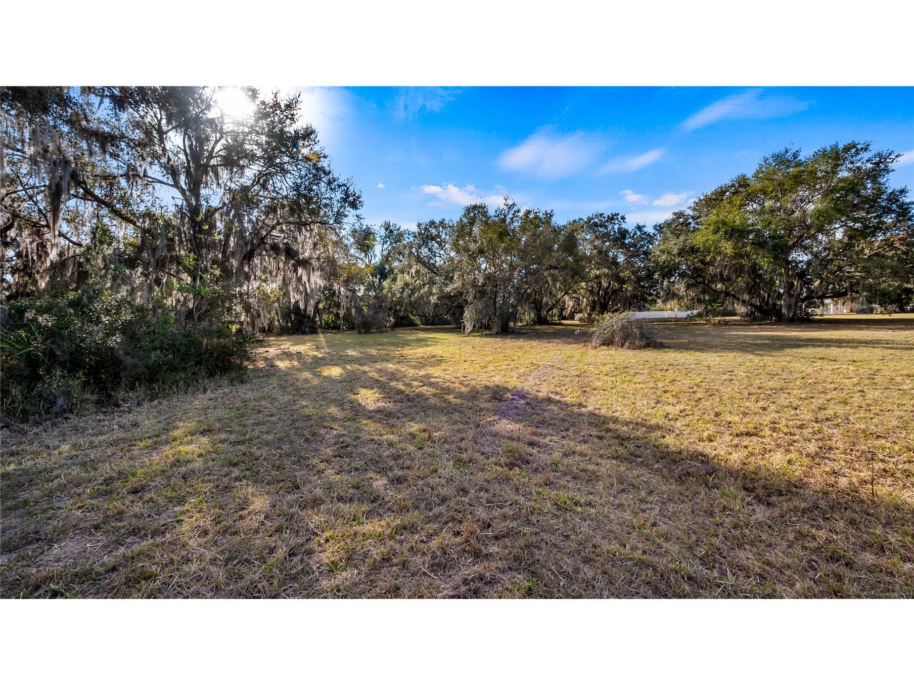 Woodlea Road Tavares FL 32778 O6295703 image50