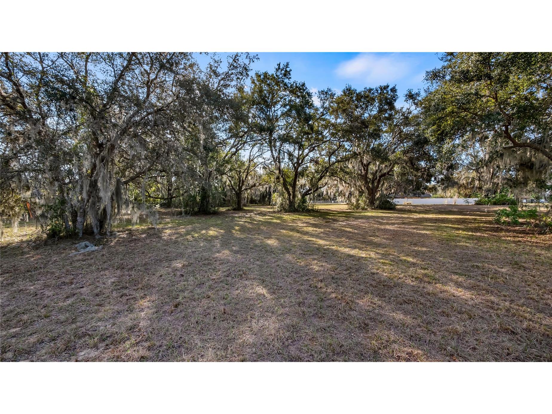 Woodlea Road Tavares FL 32778 O6295703 image51