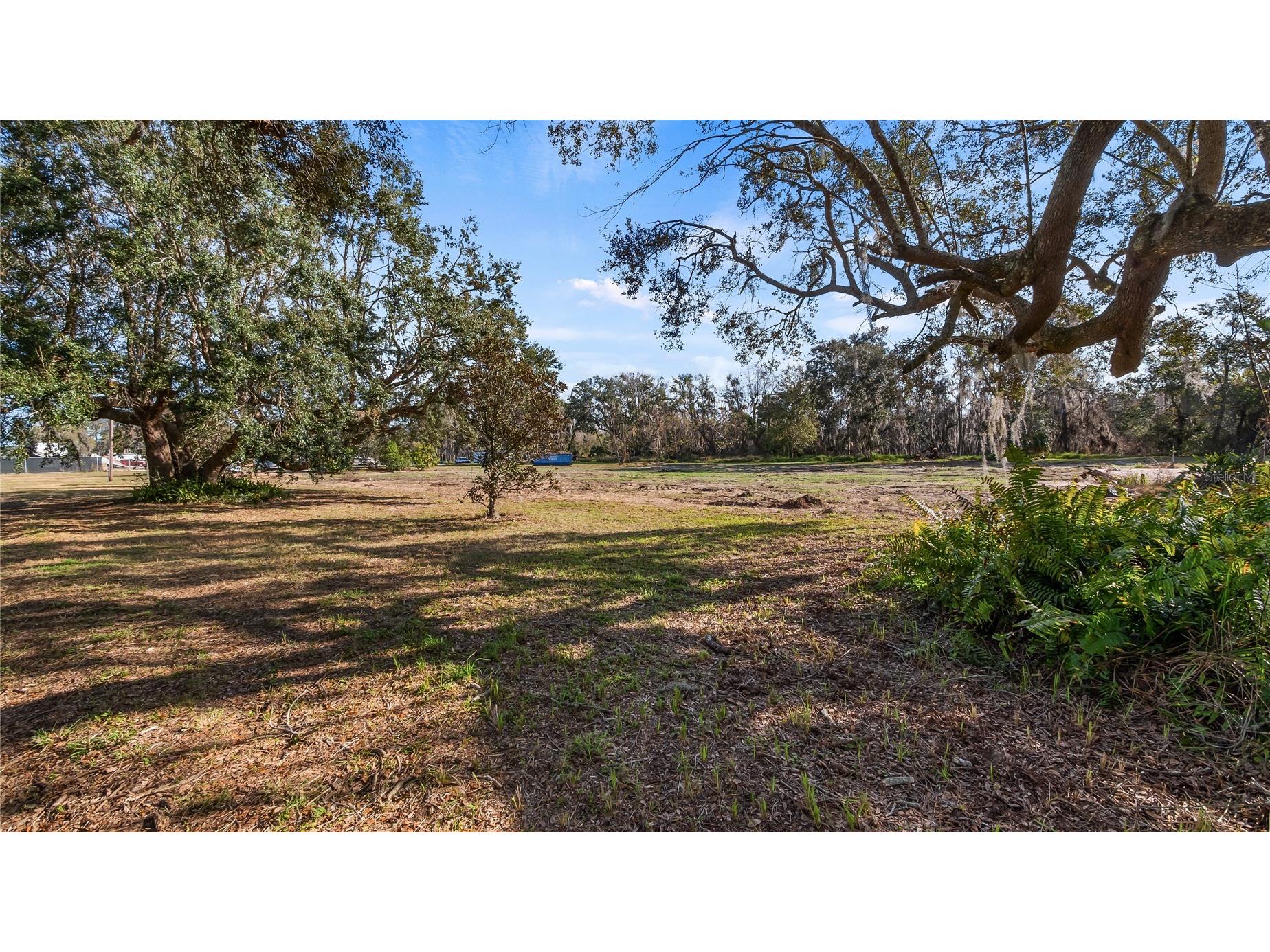 Woodlea Road Tavares FL 32778 O6295703 image55