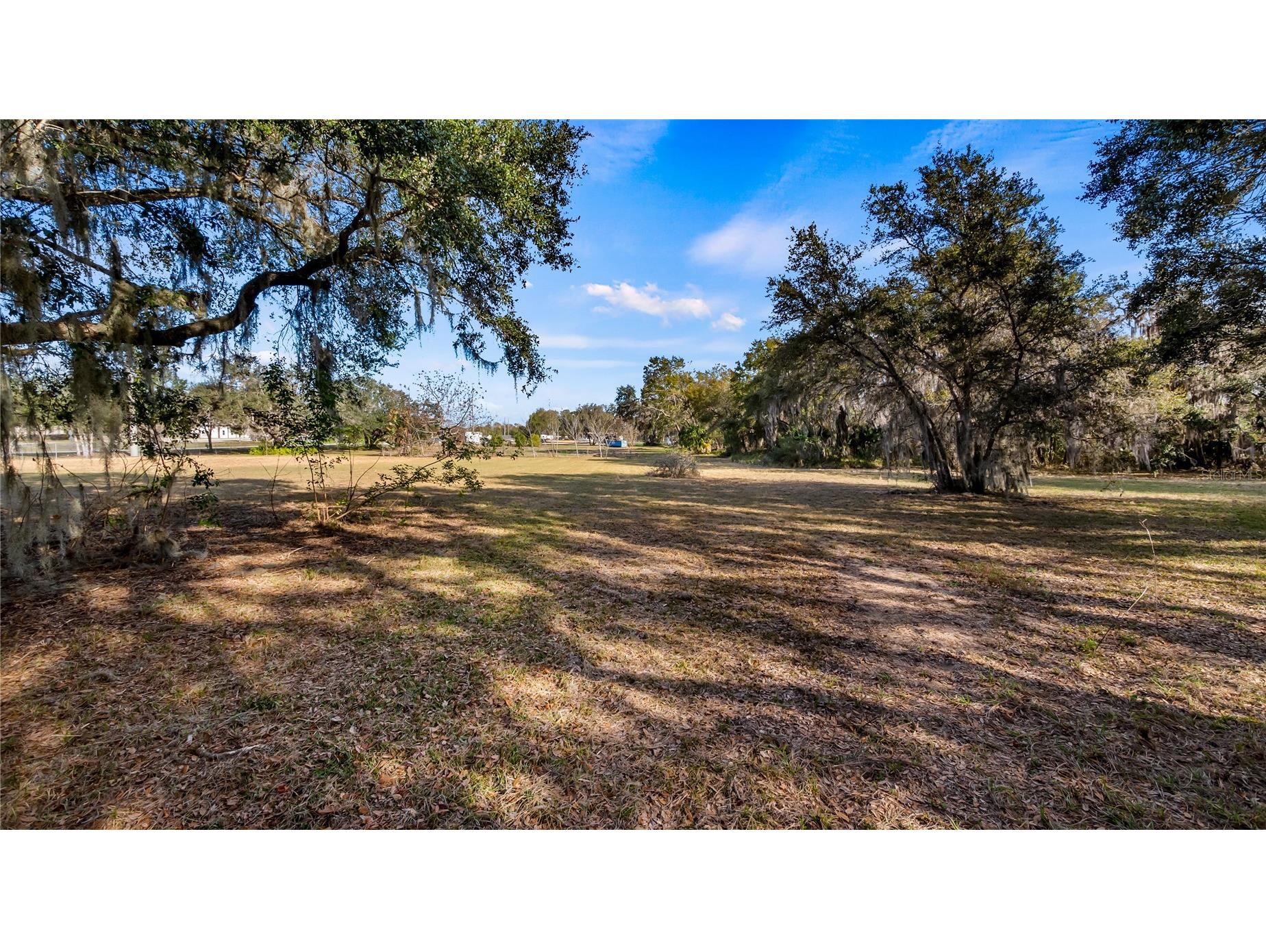 Woodlea Road Tavares FL 32778 O6295703 image6