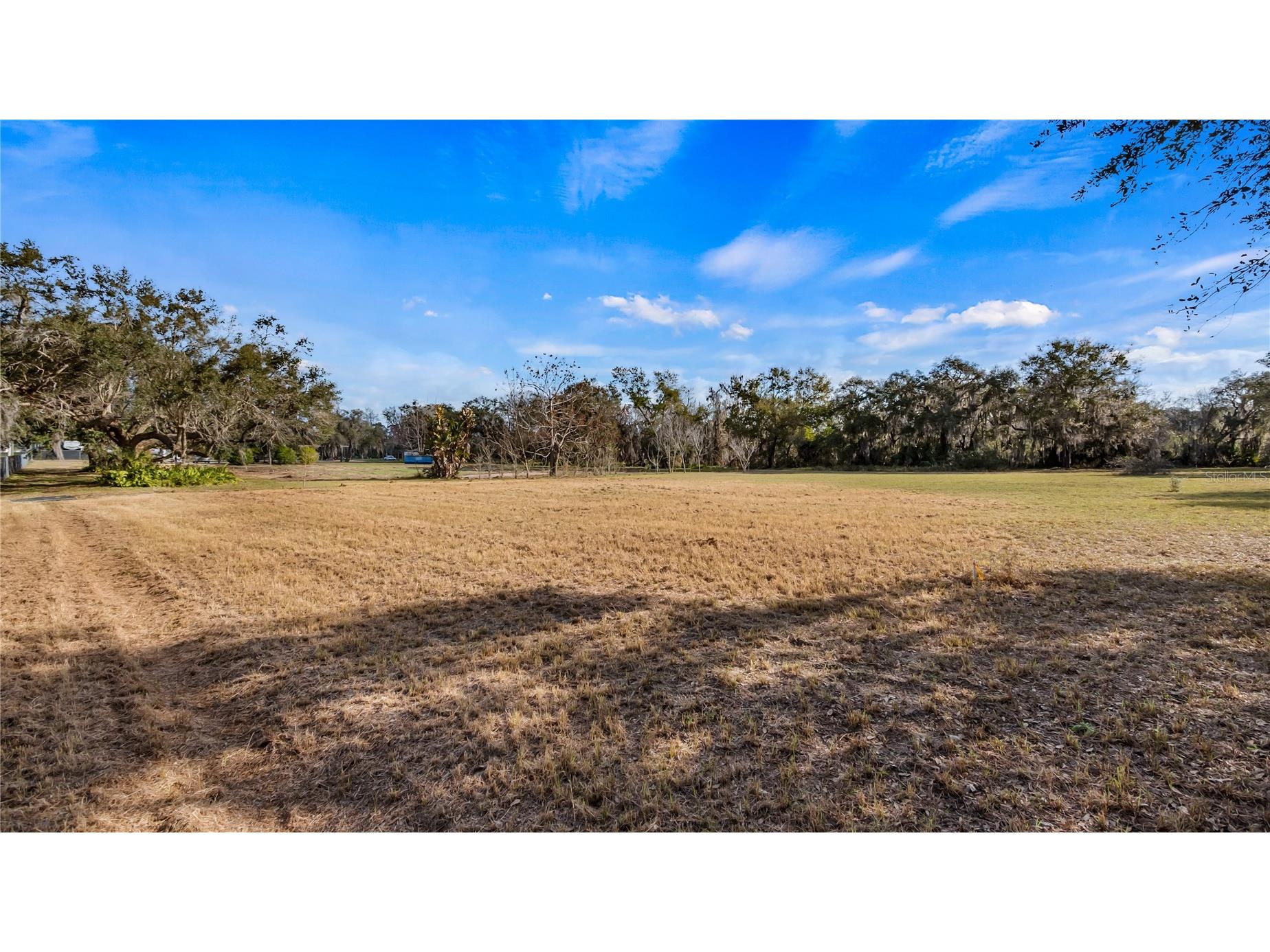 Woodlea Road Tavares FL 32778 O6295703 image7