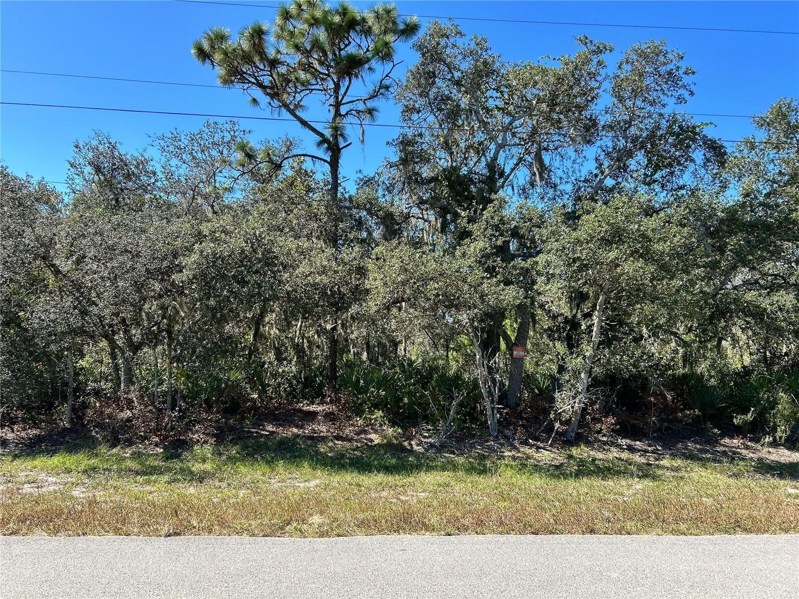 Woodstork Way Frostproof FL 33843 P4938192 image1