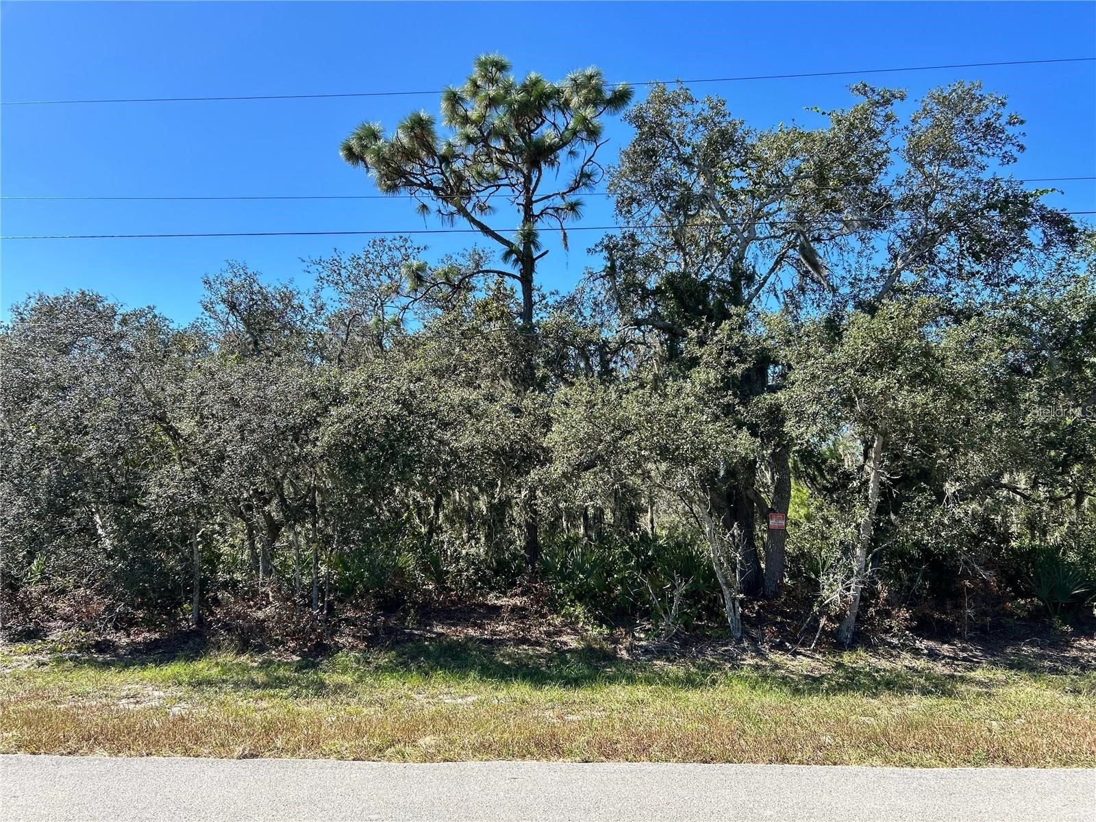 Woodstork Way Frostproof FL 33843 P4938192 image10