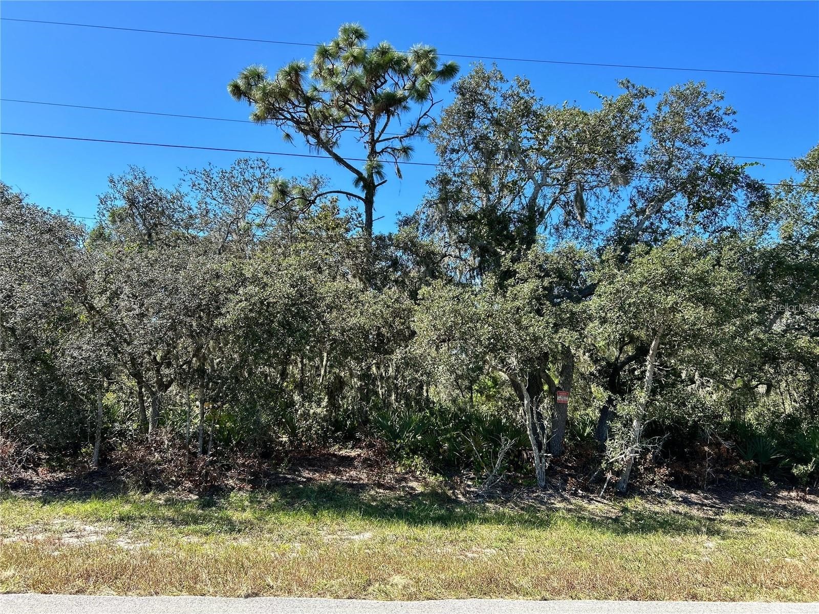 Woodstork Way Frostproof FL 33843 P4938192 image11