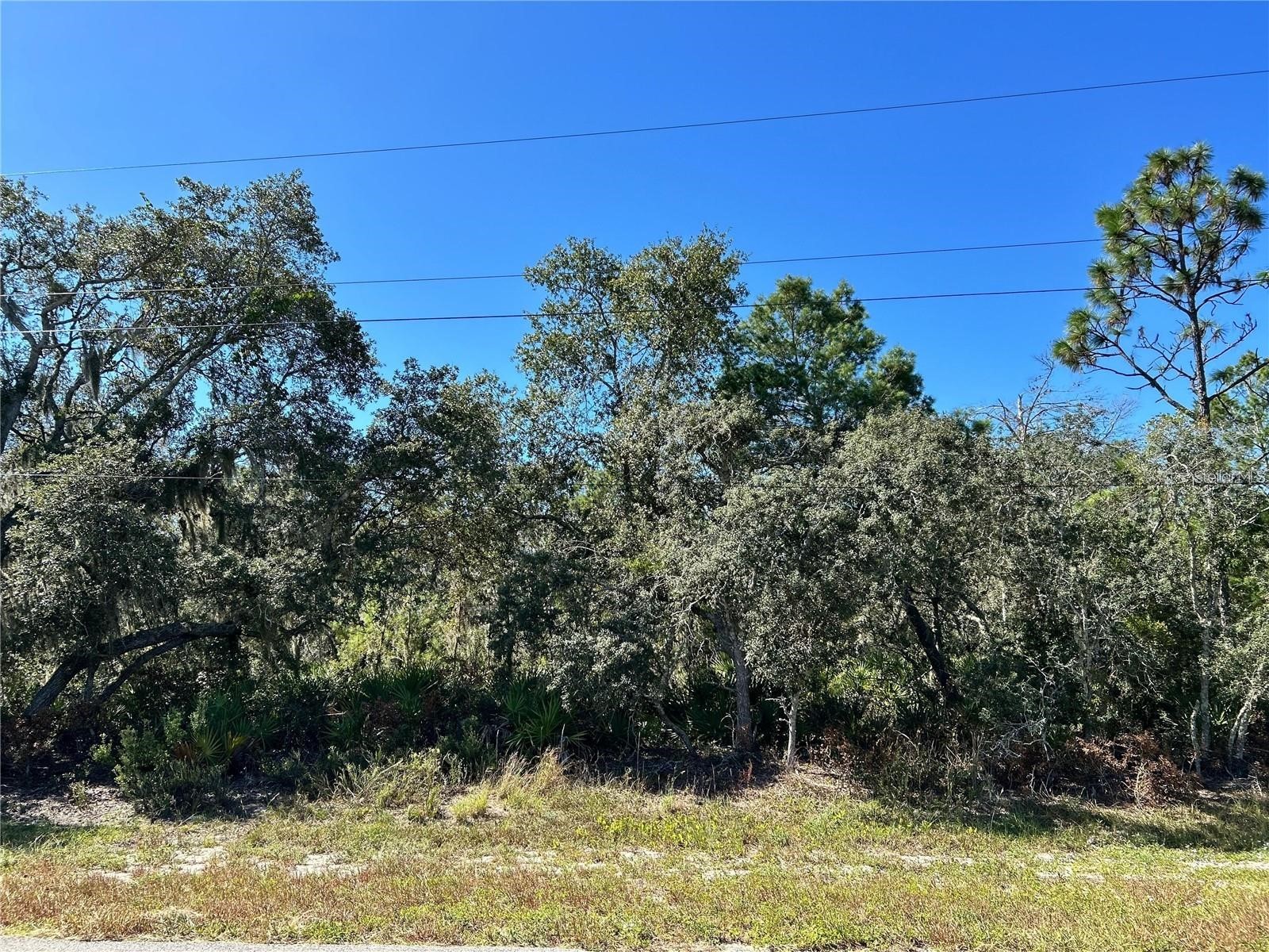 Woodstork Way Frostproof FL 33843 P4938192 image12