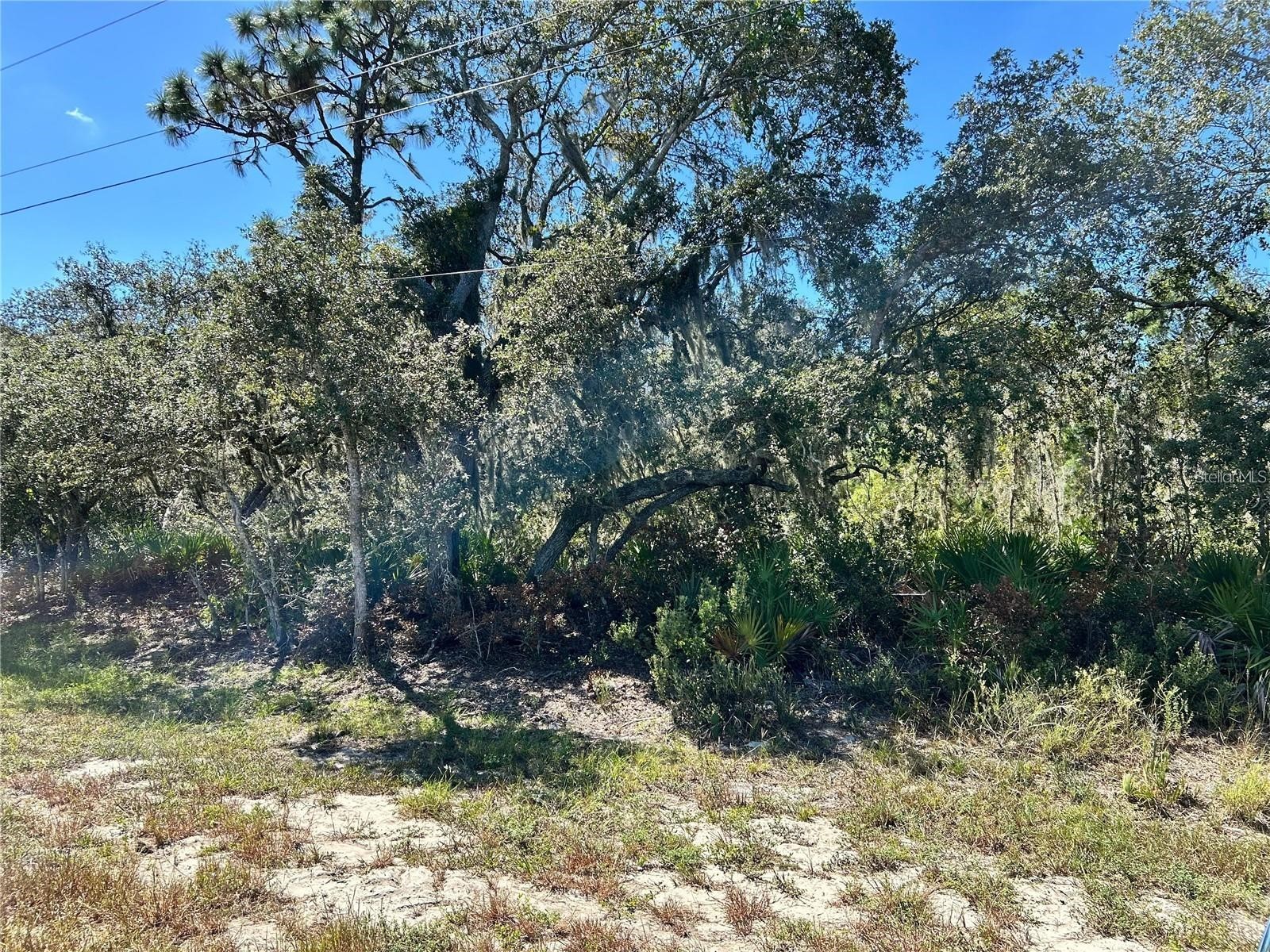 Woodstork Way Frostproof FL 33843 P4938192 image13