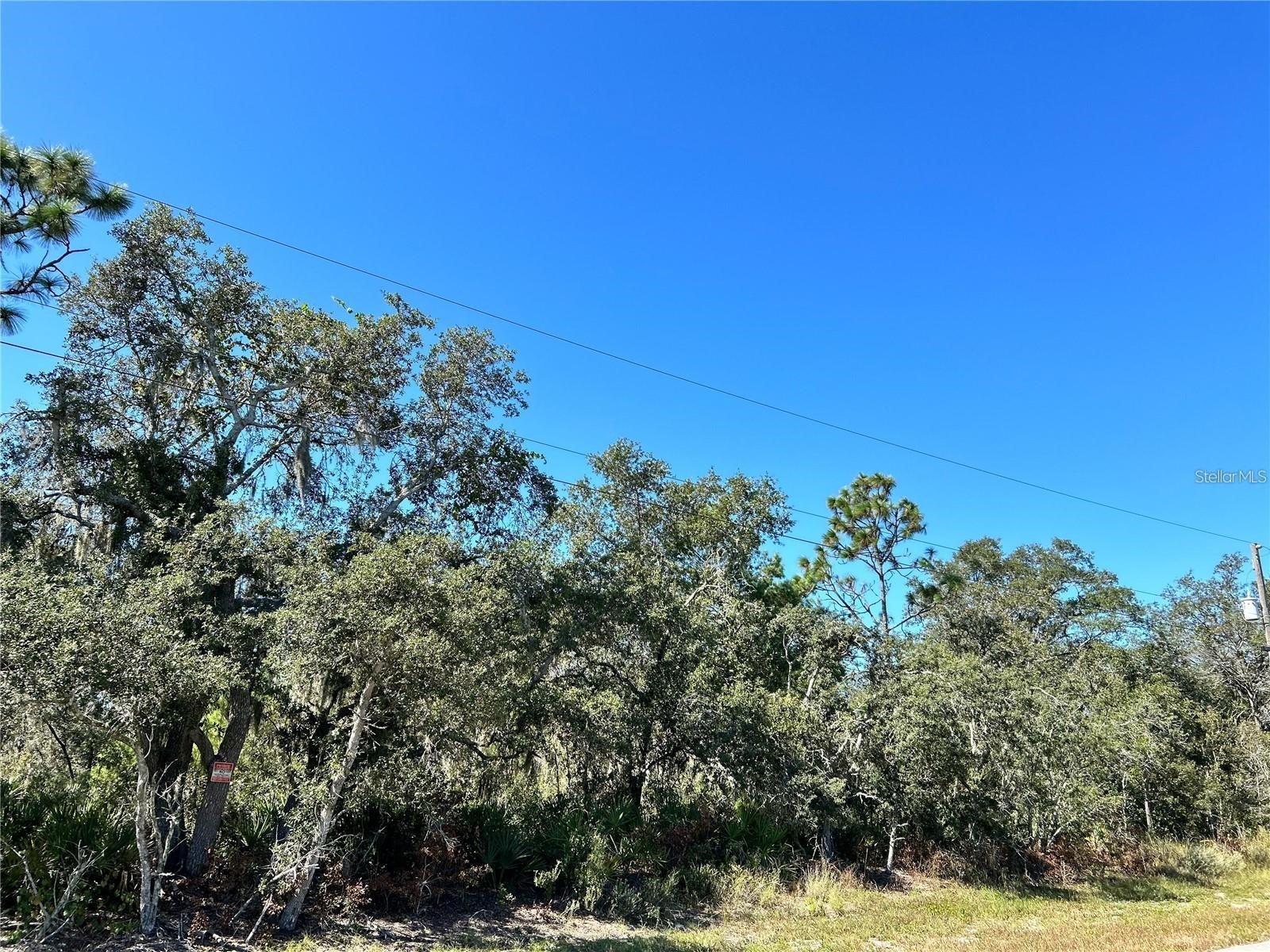 Woodstork Way Frostproof FL 33843 P4938192 image14
