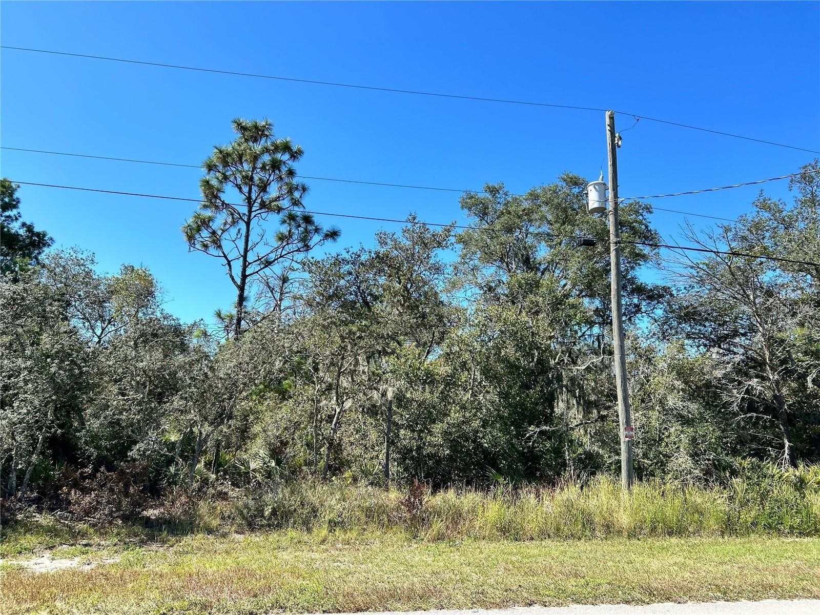 Woodstork Way Frostproof FL 33843 P4938192 image16