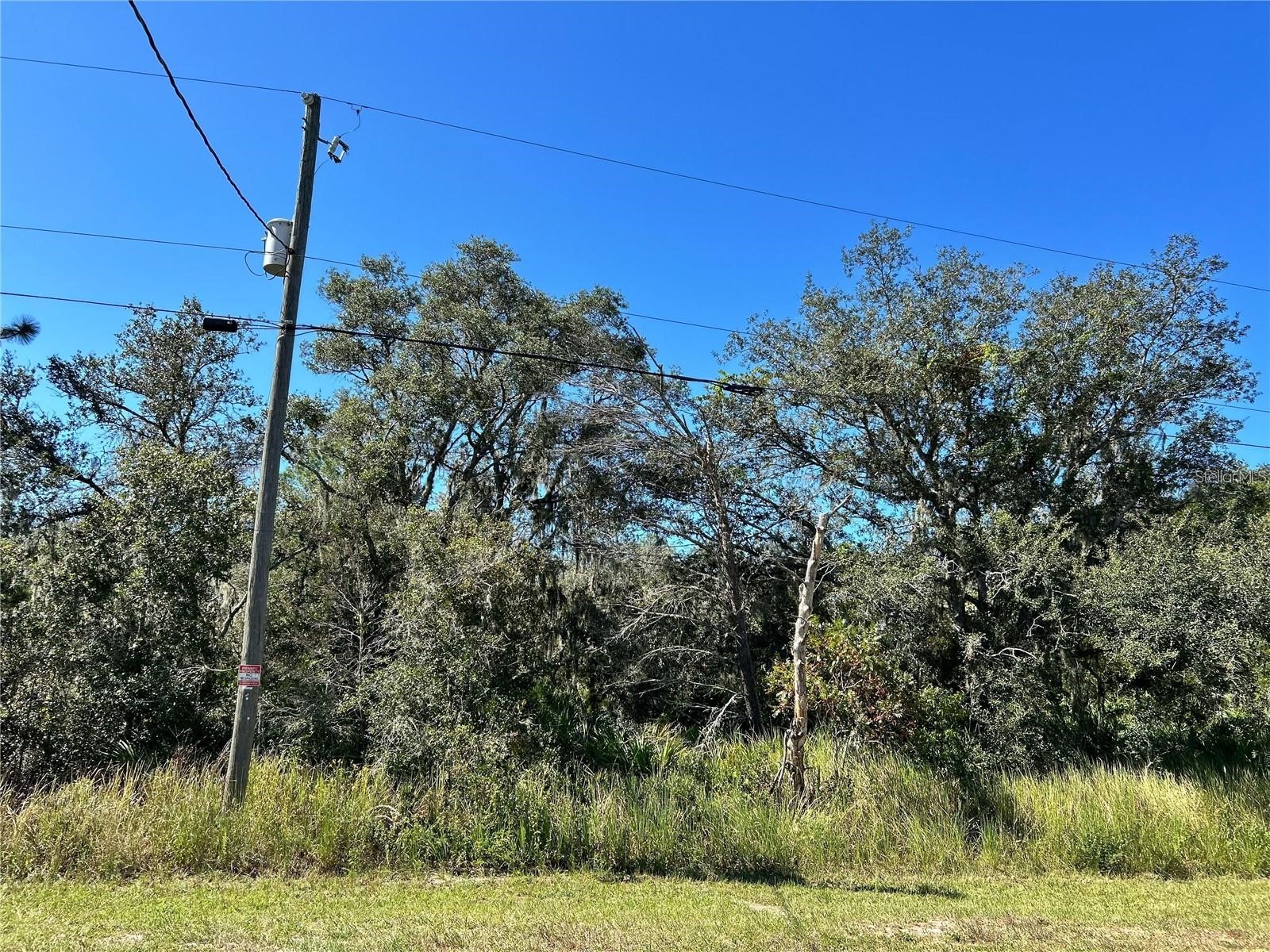 Woodstork Way Frostproof FL 33843 P4938192 image17