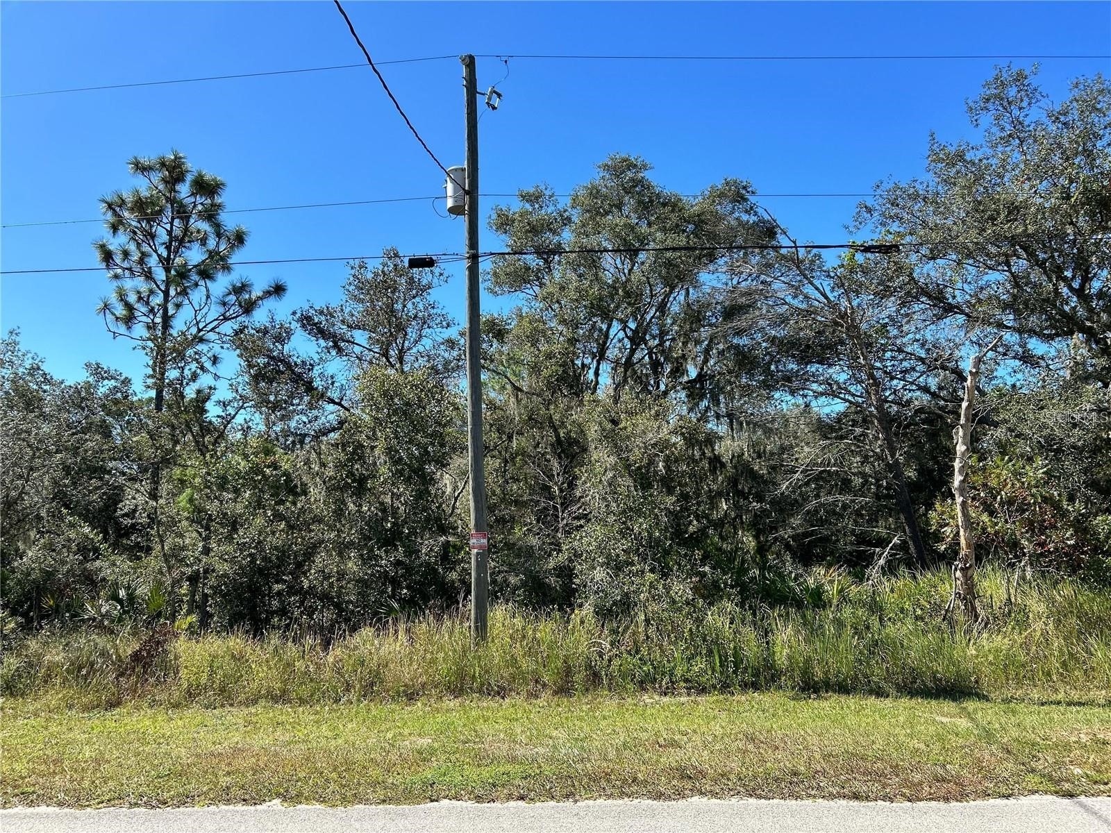 Woodstork Way Frostproof FL 33843 P4938192 image19