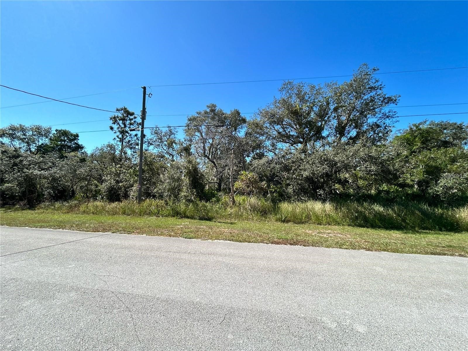 Woodstork Way Frostproof FL 33843 P4938192 image3