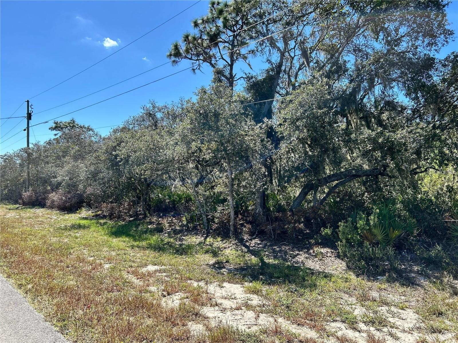 Woodstork Way Frostproof FL 33843 P4938192 image4