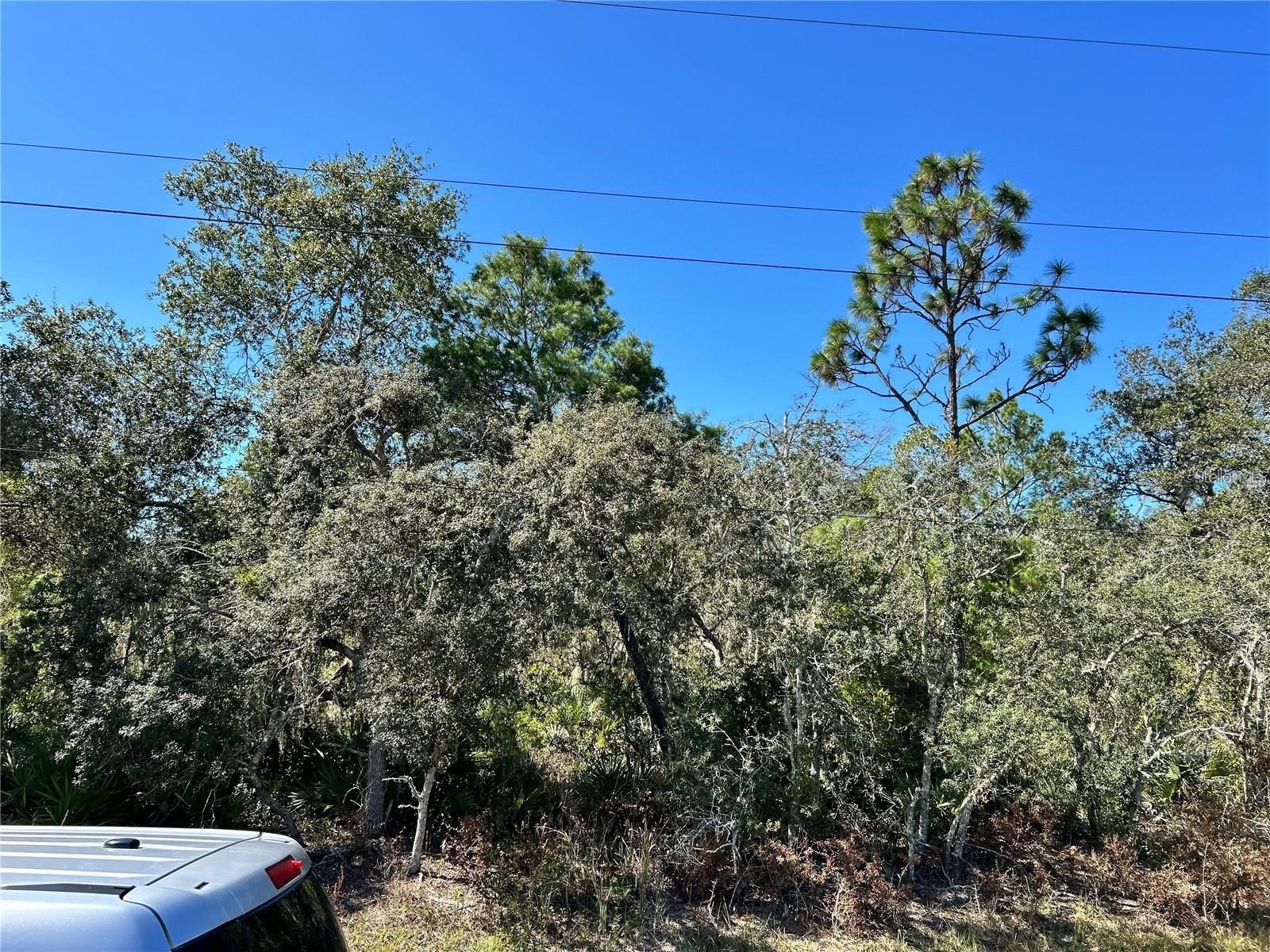 Woodstork Way Frostproof FL 33843 P4938192 image8