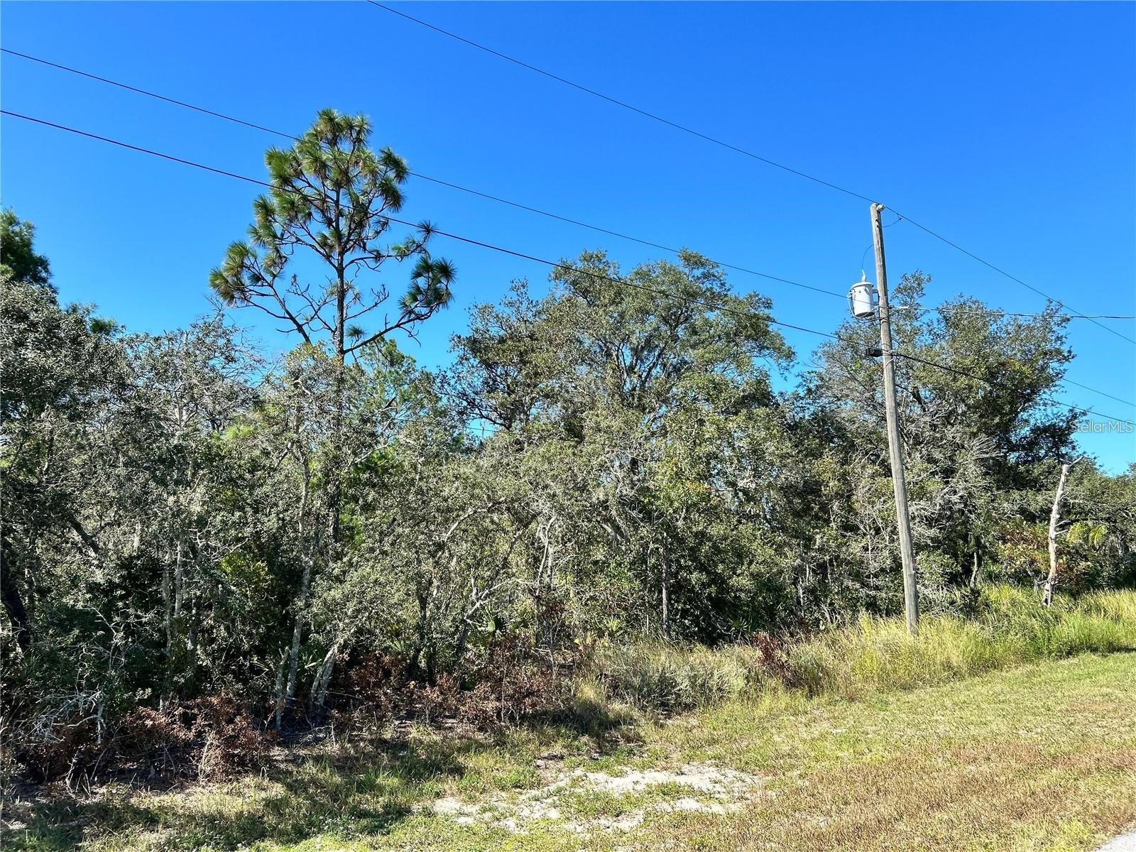 Woodstork Way Frostproof FL 33843 P4938192 image9