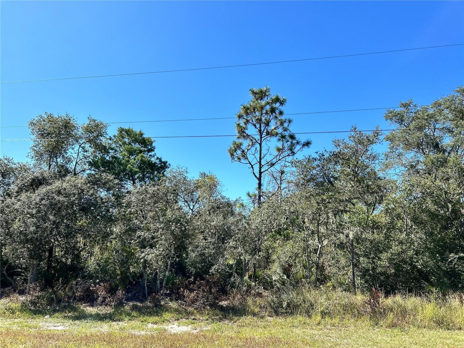 Woodstork Way Frostproof FL 33843 P4938193 image16
