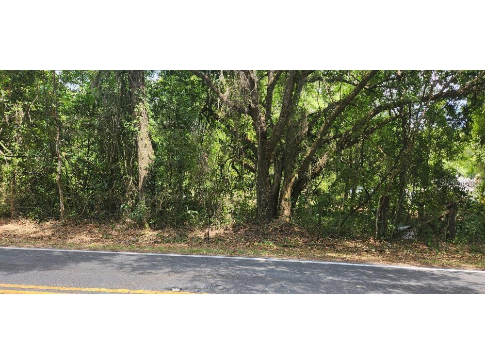 Wpa Road Brooksville FL 34601 U8242303 image1