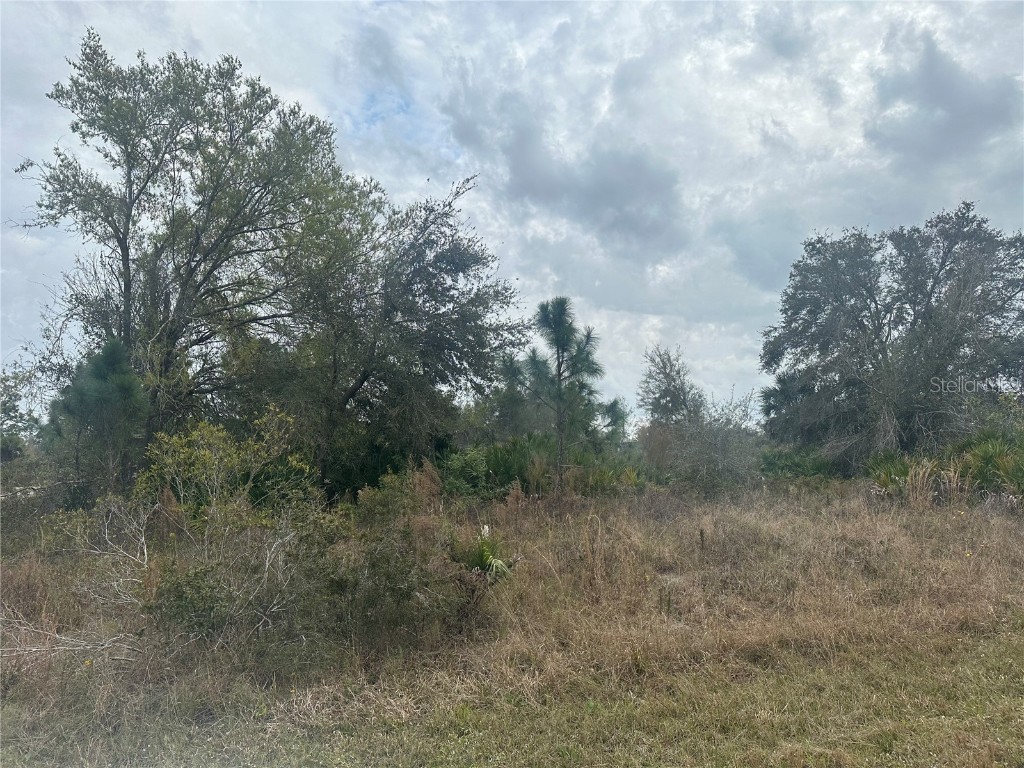 Wylam Drive North Port FL 34288 C7488327 image1