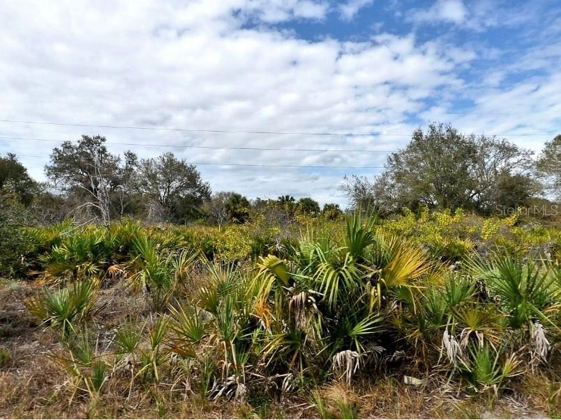 Wylam Drive North Port FL 34288 A4684116 image1