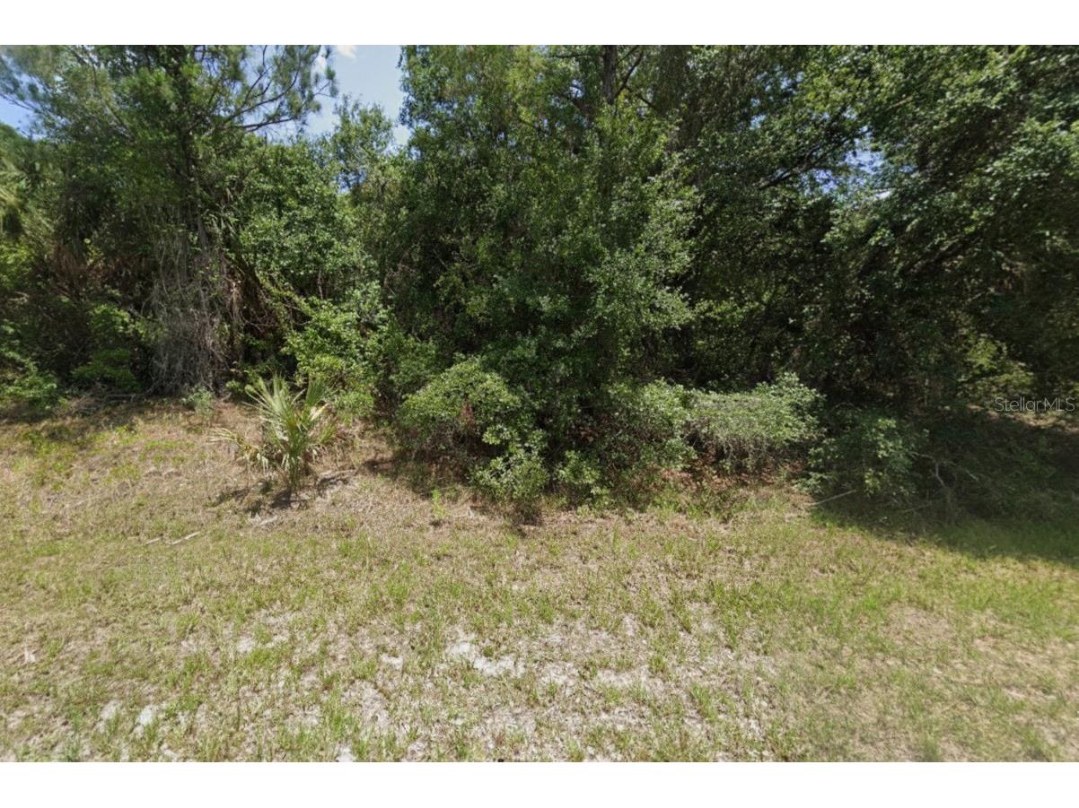 Wylam Drive North Port FL 34288 C7520576 image3