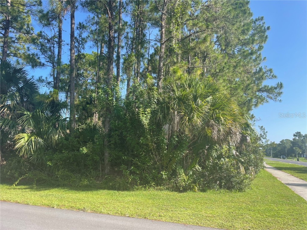 Wyola Avenue North Port FL 34286 U8166468 image1