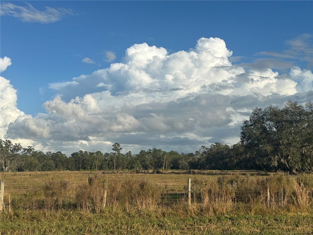  Wauchula FL 33873 A4632685 image10