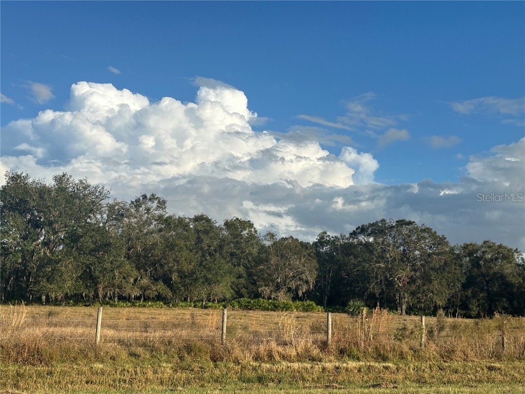  Wauchula FL 33873 A4632685 image12