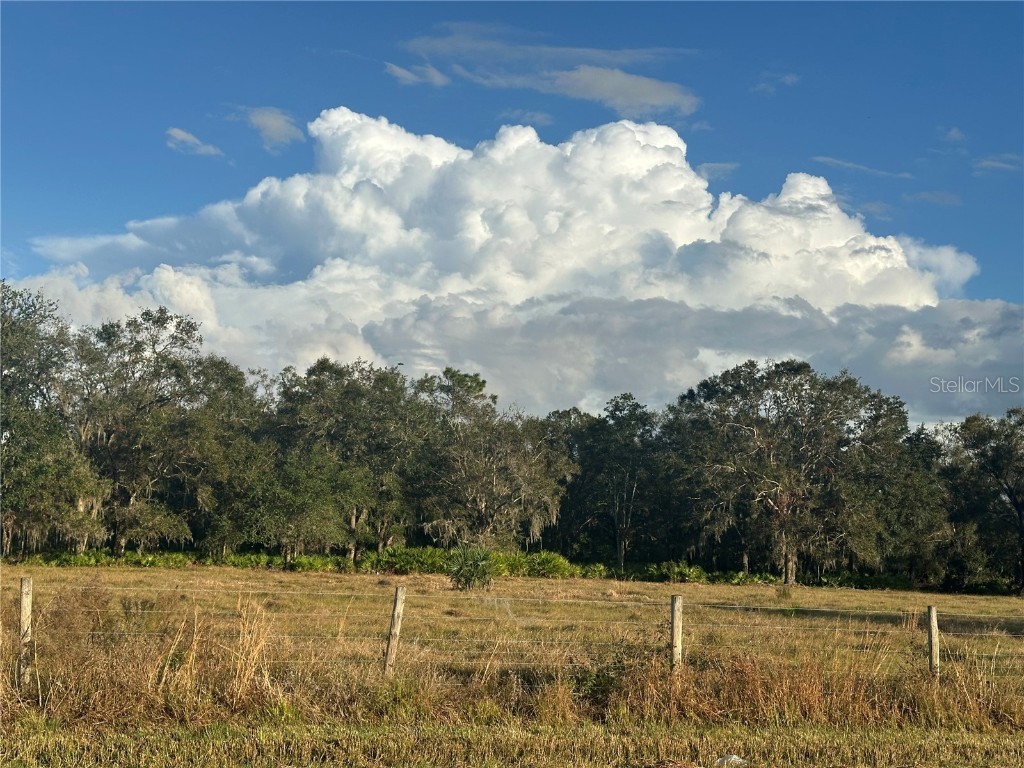  Wauchula FL 33873 A4632685 image13