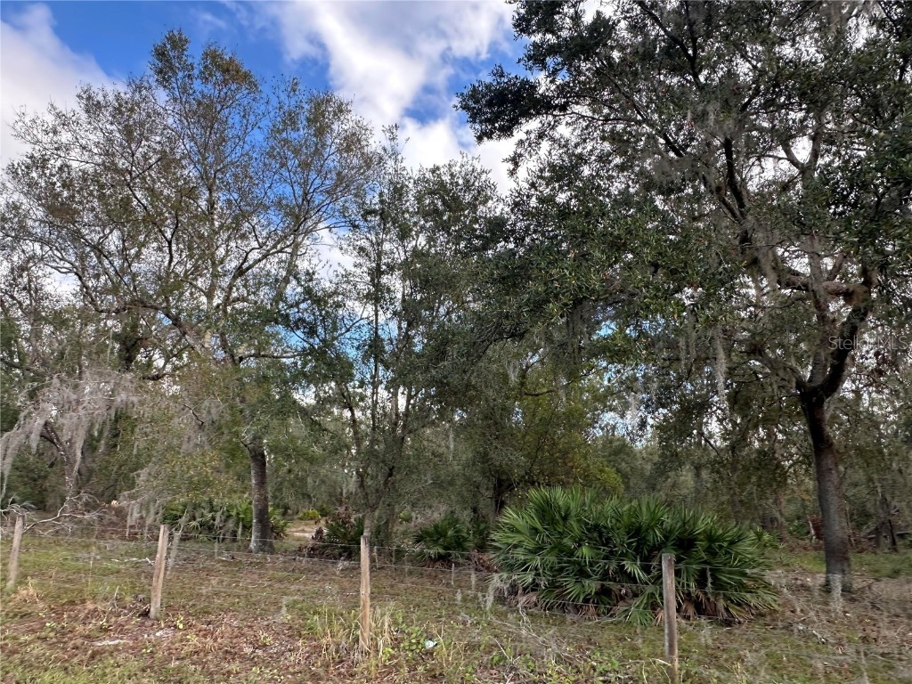  Wauchula FL 33873 A4632685 image21
