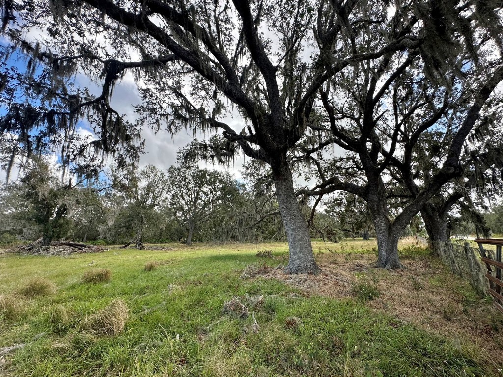  Wauchula FL 33873 A4632685 image4