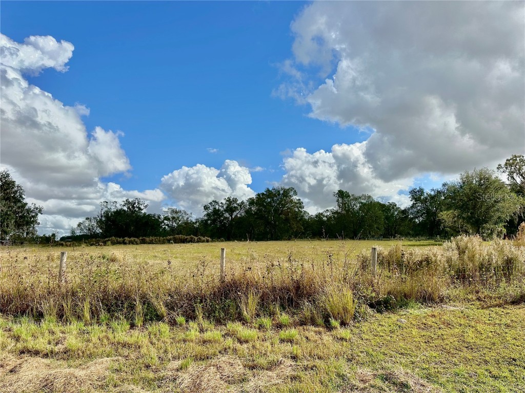  Wauchula FL 33873 A4632685 image7