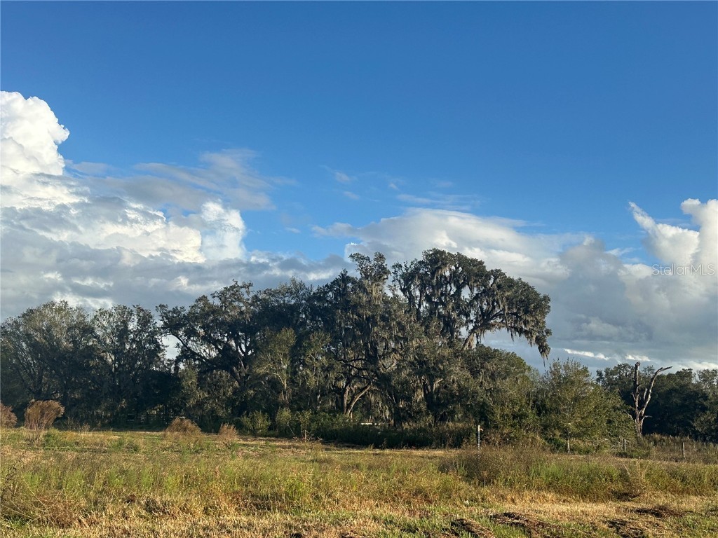  Wauchula FL 33873 A4632685 image8