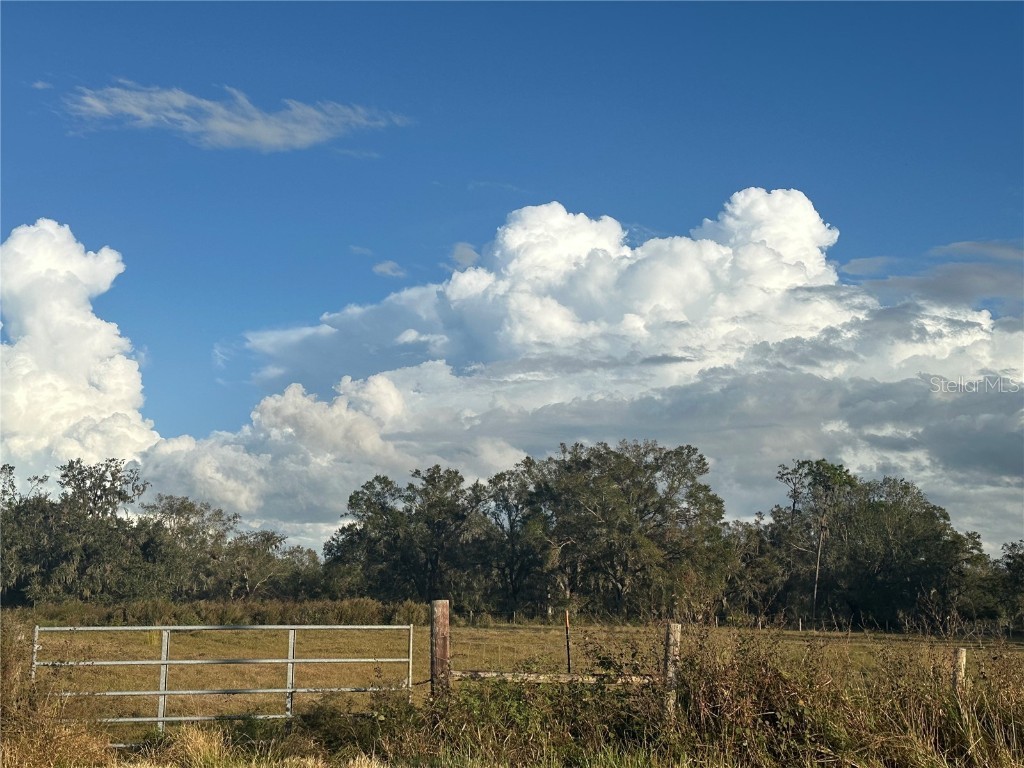  Wauchula FL 33873 A4632685 image9