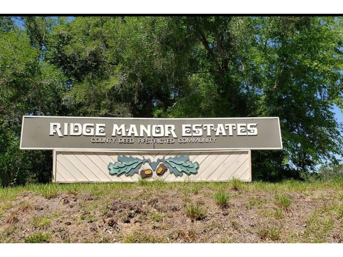  Webster FL 33597 G5088091 image1