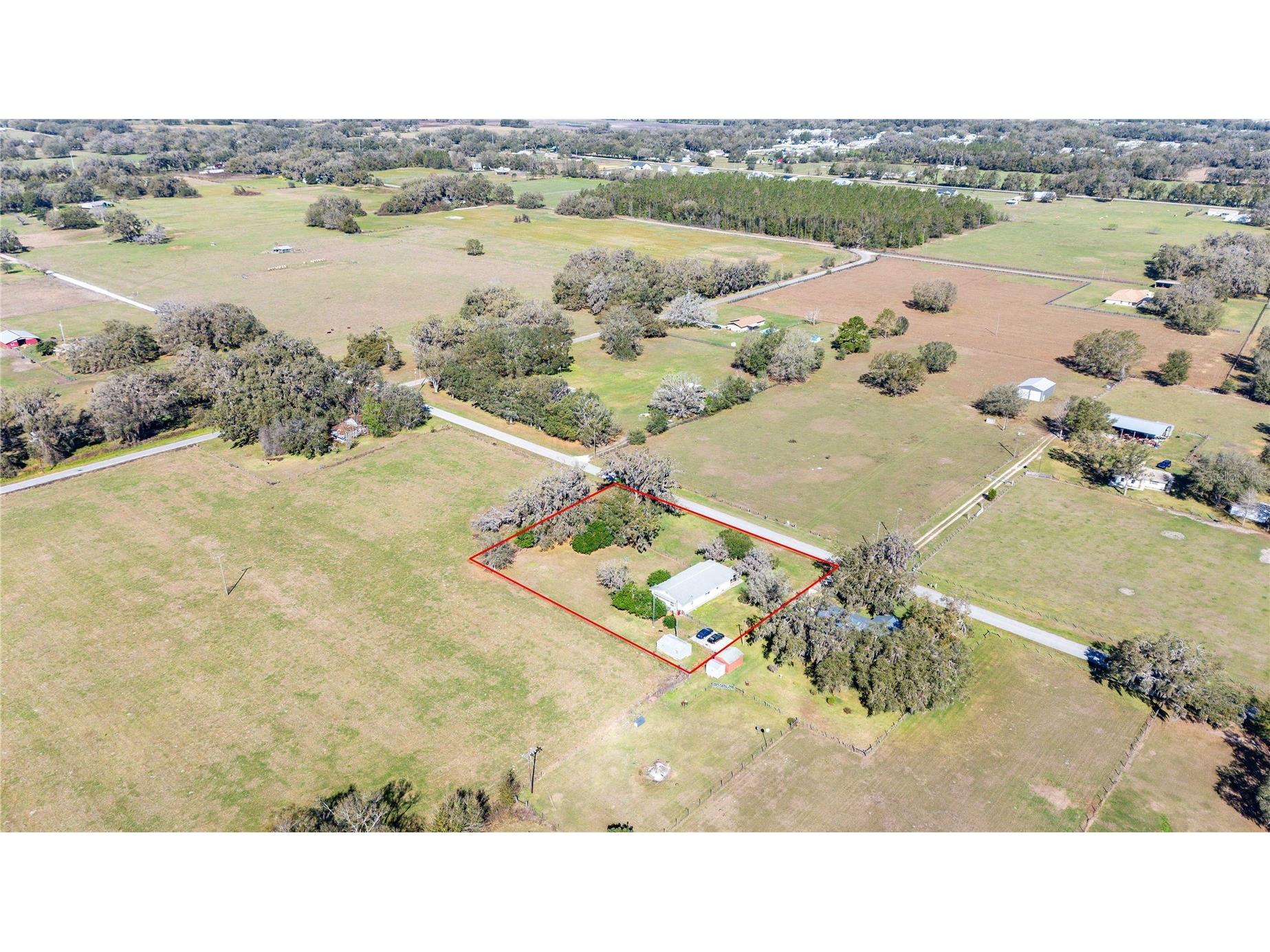  Webster FL 33597 G5109714 image40