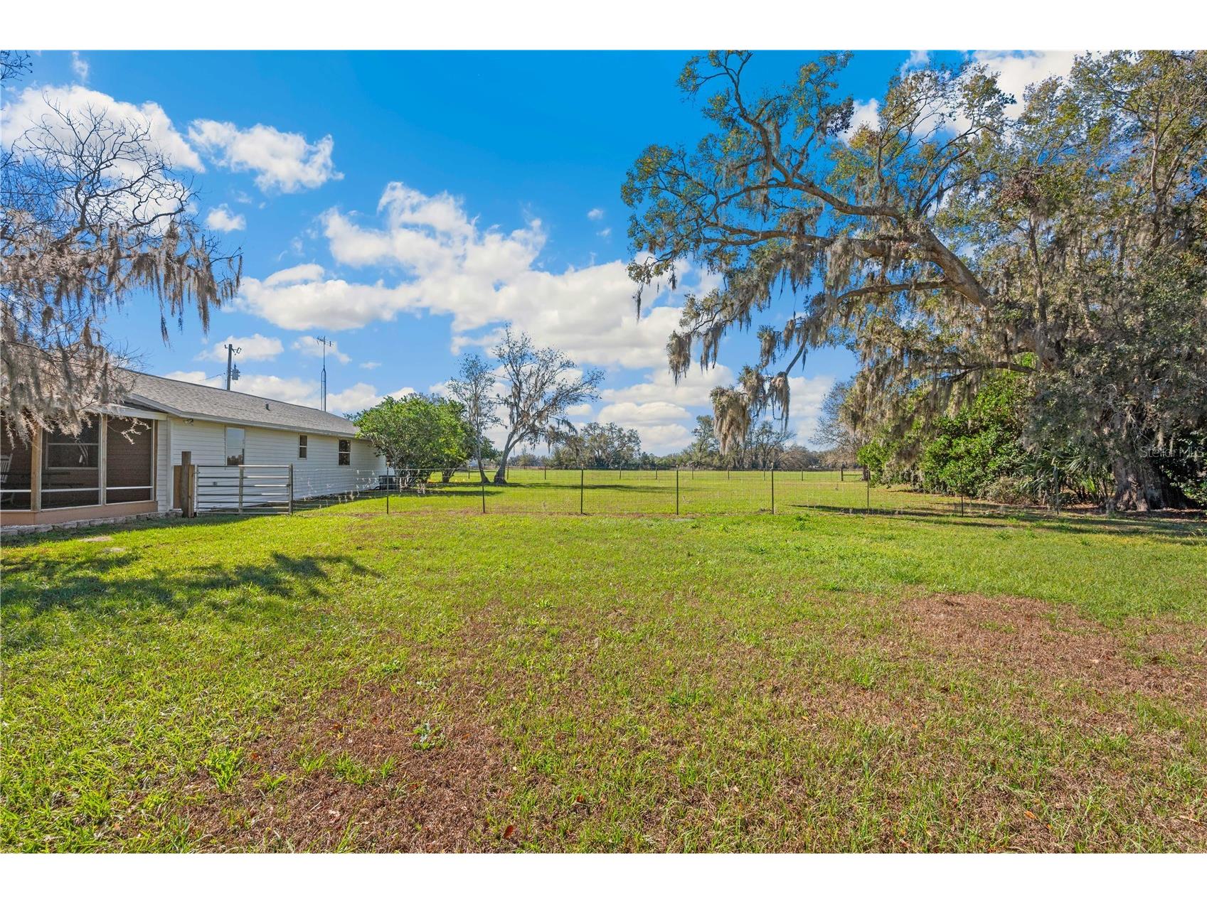  Webster FL 33597 G5109714 image5