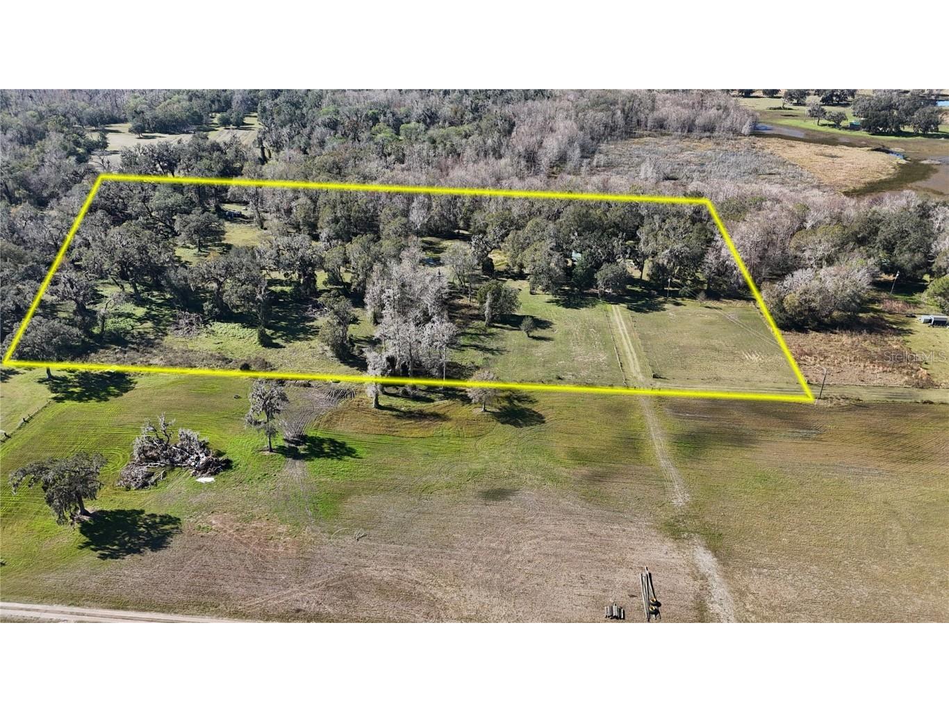  Webster FL 33597 OM682871 image1