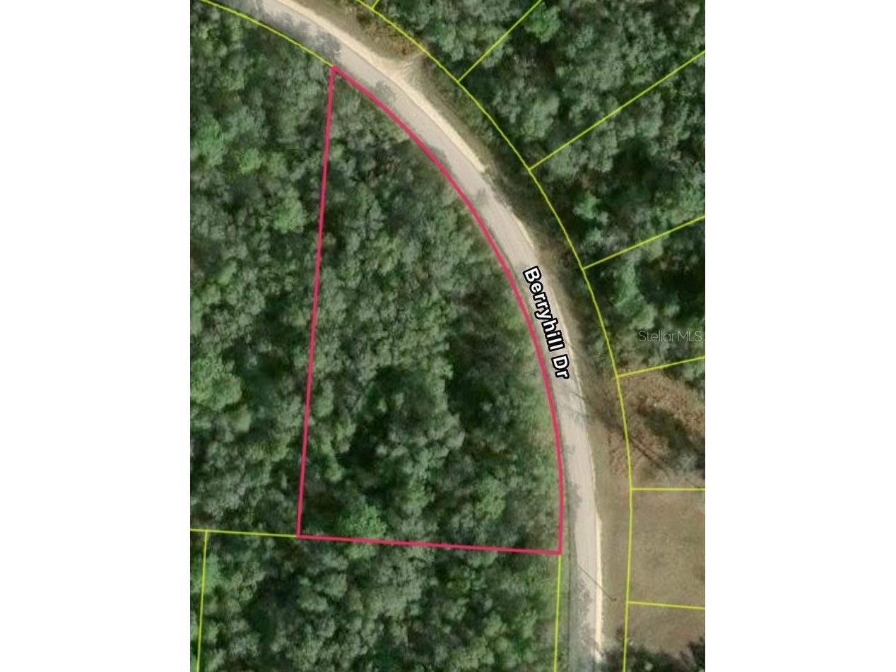  Webster FL 33597 S5153126 image2